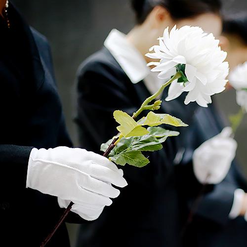 이용안내